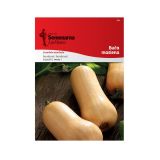 PLODOVKA SEMENARNA BUČA BUTTERNUT 707