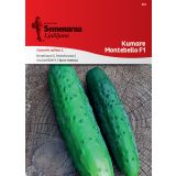PLODOVKA SEMENARNA KUMARE MONTEBELLO F1 676