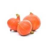 PLODOVKE BUČE L 10 CM