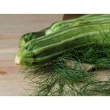 PLODOVKE BUČKE L 10 CM