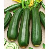 PLODOVKE BUČKE TEMNE 4 KOS DIAMANT F1