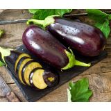 PLODOVKE L'ORTO FRUTTIFERO JAJČEVEC GALINE F1 4/1 KULTIPAK