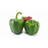 PLODOVKE PAPRIKA ZELENA 4 KOS