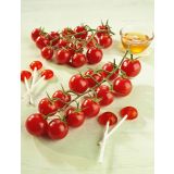 PLODOVKE VOLMARY CEPLJEN PARADIŽNIK L12 SOLENA SWEET RED