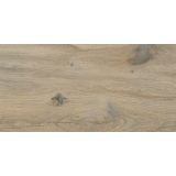 PLOŠČICA TALNA VIDEZ LESA SILVA BEIGE 30X60