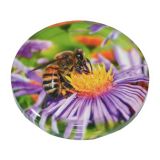 POKROV,PRIBOR ZA VLAGANJE VETRO TO 82 (10/1) ČEBELA CVET BEE19