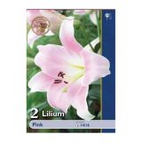POLETI CVETOČA ČEBULICA HOLLAND BULB MARKET LILIJA PINK
