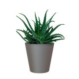 PE NOTRANJI LONEC PORTO ANTRACIT 18CM