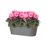 PE NOTRANJI LONEC PORTO PODOLGOVAT ANTRACIT 30CM