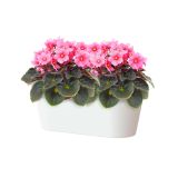 PE NOTRANJI LONEC PORTO PODOLGOVAT BEL 30CM