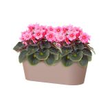 PE NOTRANJI LONEC PORTO PODOLGOVAT TAUPE 30CM