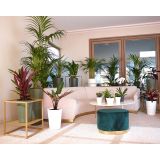 PE NOTRANJI LONEC PORTO VISOK BEL 80CM