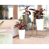 PE NOTRANJI LONEC PORTO VISOK BEL 80CM