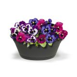 PE SADILNI LONEC POSODA 27CM ANTRACIT