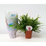 PRAPROT GREEN LADY L12