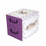 ŠKATLA/ZABOJ MISSSPACE PREDALNIK ZA SHRANJEVANJE Z DVEMA PREDALOMA