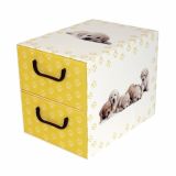 ŠKATLA/ZABOJ MISSSPACE PREDALNIK ZA SHRANJEVANJE Z DVEMA PREDALOMA