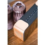 PRENOSNI RADIO ADLER AD1190 COPPER