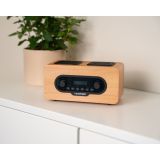 PRENOSNI RADIO BLAUPUNKT DR10CR
