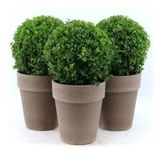 GRM PUŠPAN KROGLA 30 CM L23