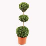 GRM PUŠPAN-TRI KROGLE