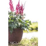 PE ZUNANJI LONEC MICA ECHO OKROGEL 3 MEŠANO V51XD56CM SORT 3