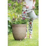 PE ZUNANJI LONEC MICA ECHO OKROGEL 3 MEŠANO V51XD56CM SORT 3