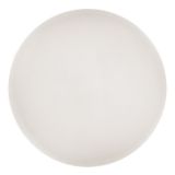 RABALUX DANNY2 LED STROPNA SVETILKA 60W 4600LM Z DALJINCEM