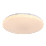 RABALUX DANNY2 LED STROPNA SVETILKA 60W Z DALJINSKIM UPRAVLJANJEM