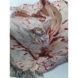 LISTNA ZELENJAVA L'ORTO FRUTTIFERO RADIČ 8/1 VARIEG. DI LUSIA KULTIPAK