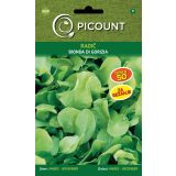 LISTNA ZELENJAVA VILMORIN RADIČ BIONDA DI GORIZIA