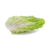 LISTNA ZELENJAVA L'ORTO FRUTTIFERO RADIČ PAN DI ZUCCHERO 8/1 PANDEA KULTIPAK