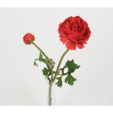 SVILENO CVETJE DAR RANUNKULUS VEJICA 48CM X2 RDEČ