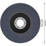 RAVNI BRUSNI LAMELNI DISK BOSCH 125 X 22.23 MM. G120 T29