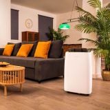 RAZVLAŽILNIK ZRAKA CECOTEC BIGDRY 10000 EXPERT CONNECTED