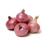 ČEBULA L'ORTO FRUTTIFERO RDEČA 9/1 BAS.FIORENTINA KULTIPAK