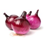 ČEBULA L'ORTO FRUTTIFERO RDEČA 9/1 DELLE FONTI KULTIPAK