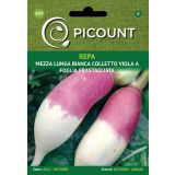 KORENOVKA VILMORIN REPA MEZZA LUNGA BIANCA