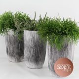 RIPSALIS MIX V OKRASNEM LONCU L18