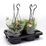 RIPSALIS V OBEŠANKI MIX L14