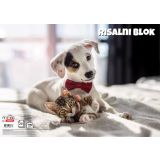 RISALNI BLOK TARGET A3 20 LISTOV 140 G ANIMAL BABY 26067