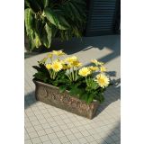 PE ZUNANJI LONEC ROTO KORITO PLANIKA VEL. L