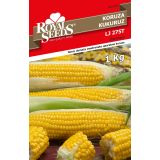 SEME VRTNINE ROYAL SEEDS ROYAL KORUZA TRDINKA 500G ŠK BIO LJ-275T