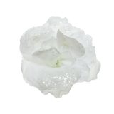 OKRASEK ZA JELKO ROŽA BELA 9.5 CM BLEŠČICE