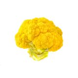 KORENOVKE L'ORTO FRUTTIFERO RUMENA CVETAČA 4/1 TARDIVO GIALLO KULTIPAK