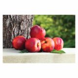 NEKTARINA VOLMARY BALKONSKA L17