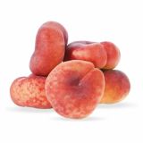 BRESKEV VOLMARY BALKONSKA VINOGRADNIŠKA L17