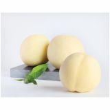 BRESKEV VOLMARY BELA BALKONSKA L17