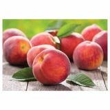 BRESKEV VOLMARY RDEČA BALKONSKA L17