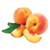 BRESKEV VOLMARY RUMENA BALKONSKA L17